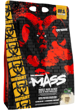 MASS - Muscle Mass Gainer High Protein Drink Mix - 6.8 KG (15 LBS)