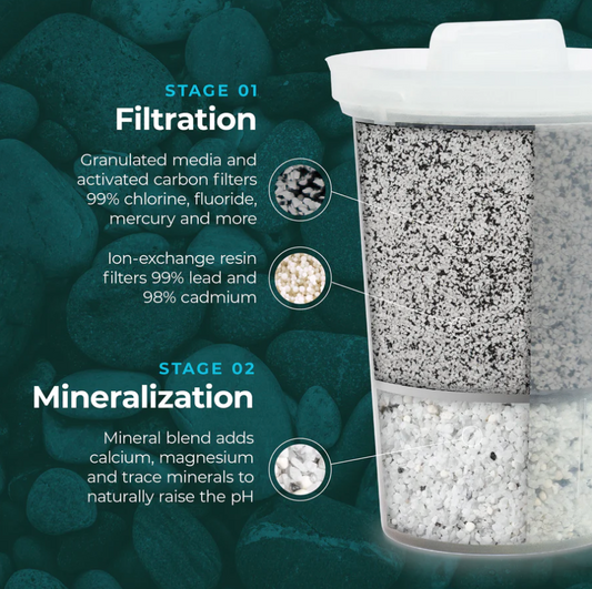 MINA Fluoride Filter