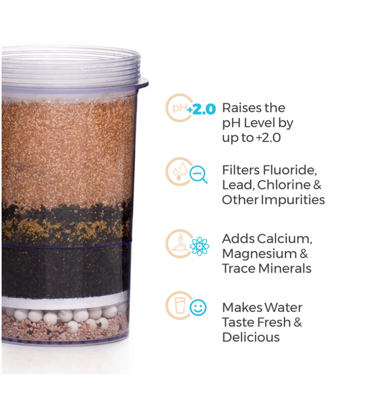 Gravity Water System Fluoride Filter