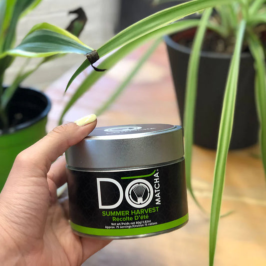 Summer Harvest Matcha - 80g tin