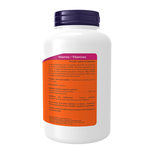 Pantothenic Acid 500mg 250 Vcaps