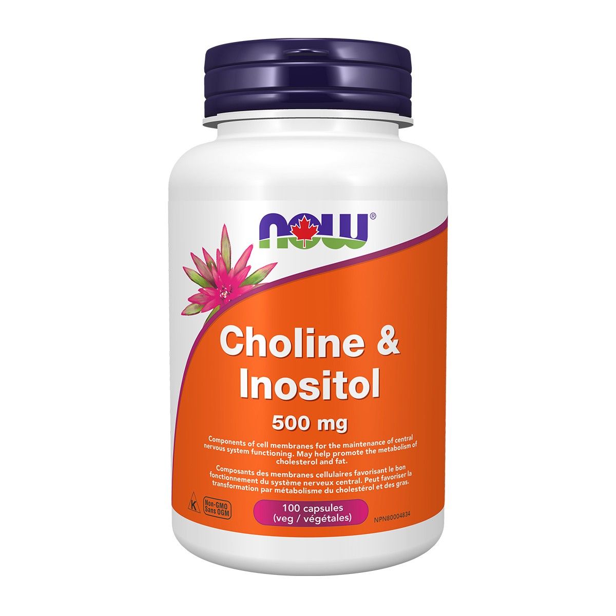Choline & Inositol 500mg 100 Vcaps