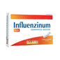 Influenzinum ® 2024/2025