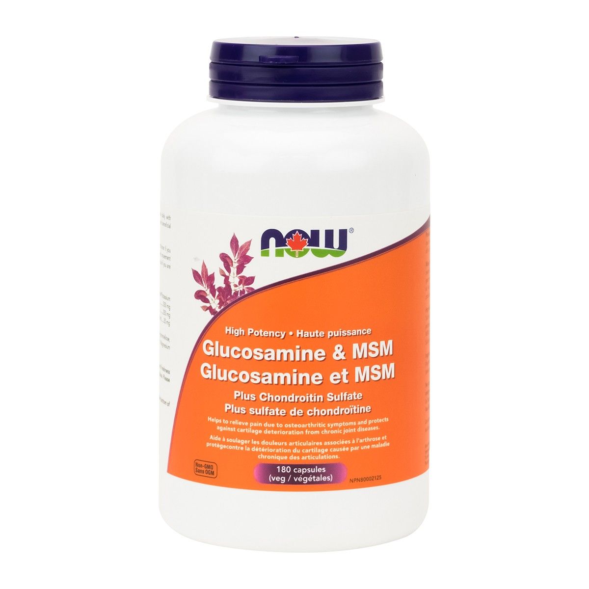 Glucosamine & MSM Plus Chondroitin Sulfate 180 Vcaps