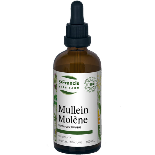 Mullein 100ml