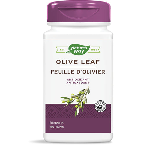 Olive Leaf 20% 60 Veg Caps