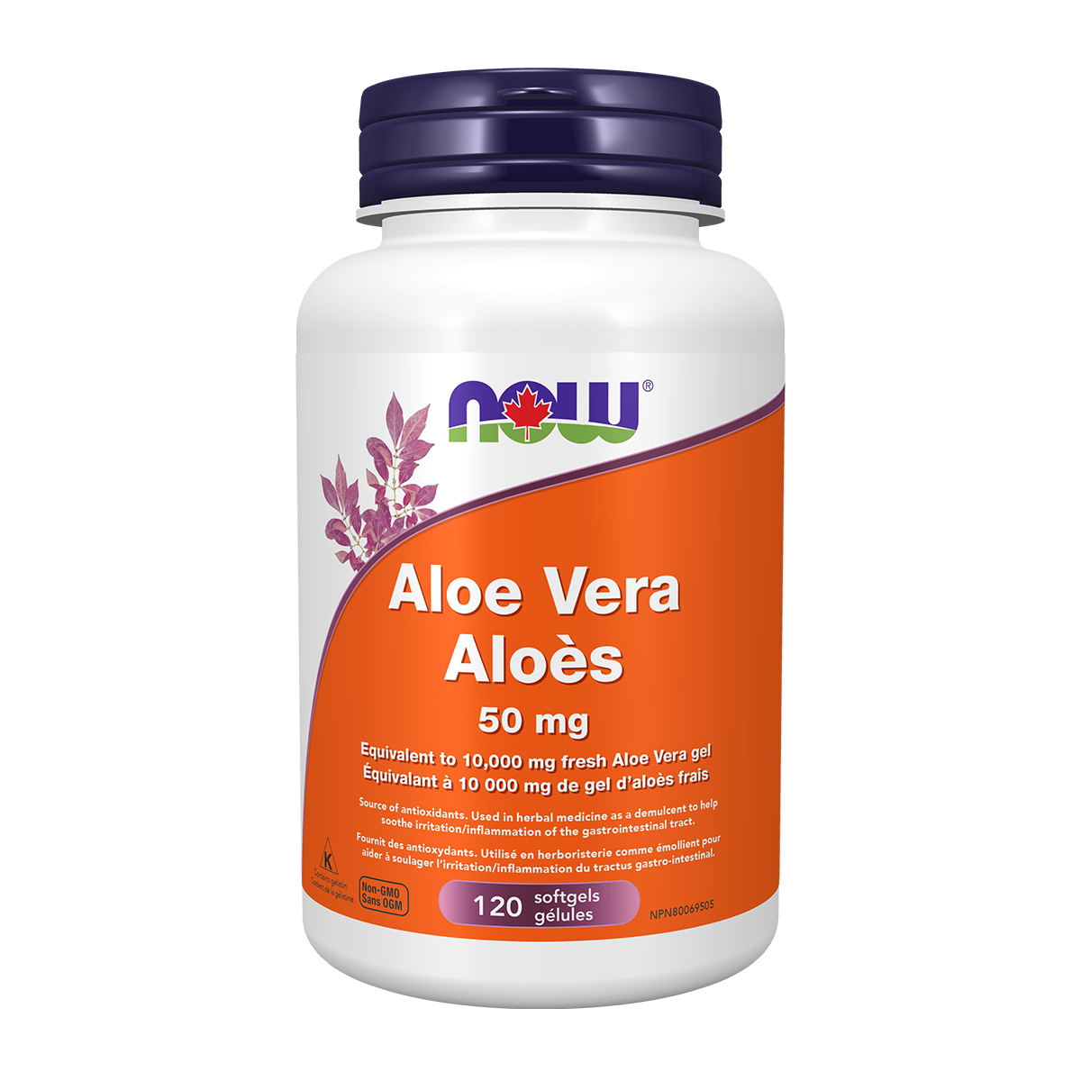Aloe Vera Concentrate 50mg 120 Gels