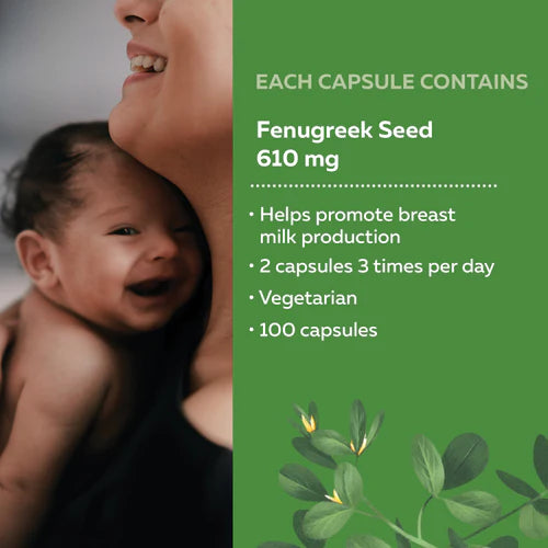 Fenugreek Seed 100 Veg Caps